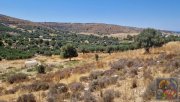 Kalamaki Süd Kreta, Kalamaki Baugrundstück mit Meerblick Grundstück kaufen